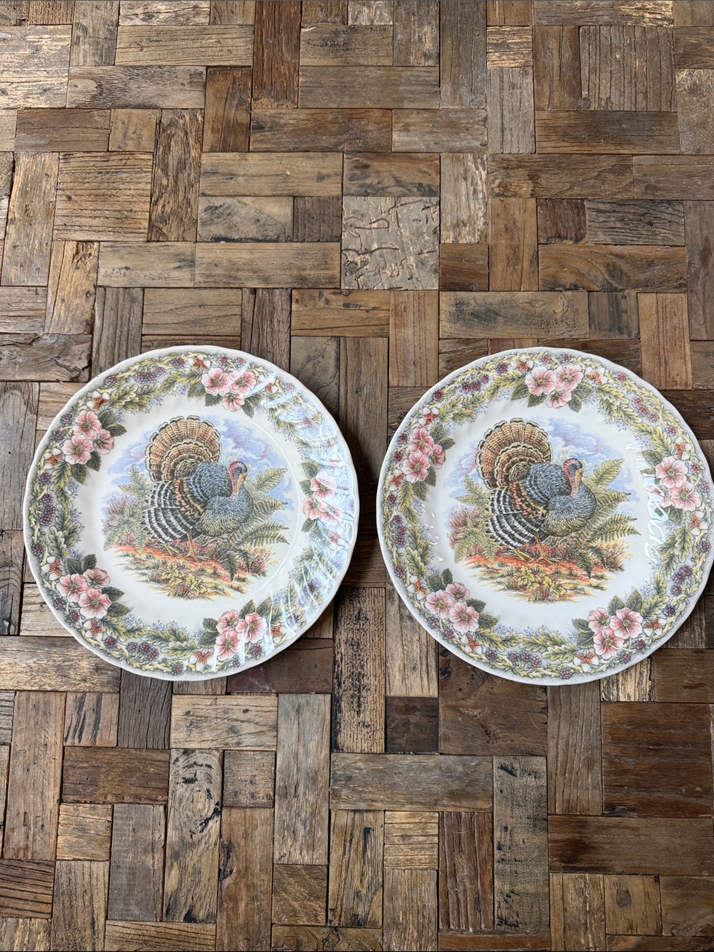 Churchill Thanksgiving Turkey Dinner Plates 10” Myott Archive Pair of 2 Colombia